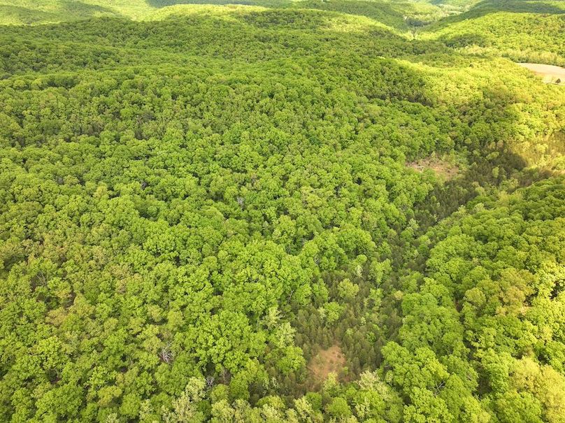 DJI_20250506125021_0239_D