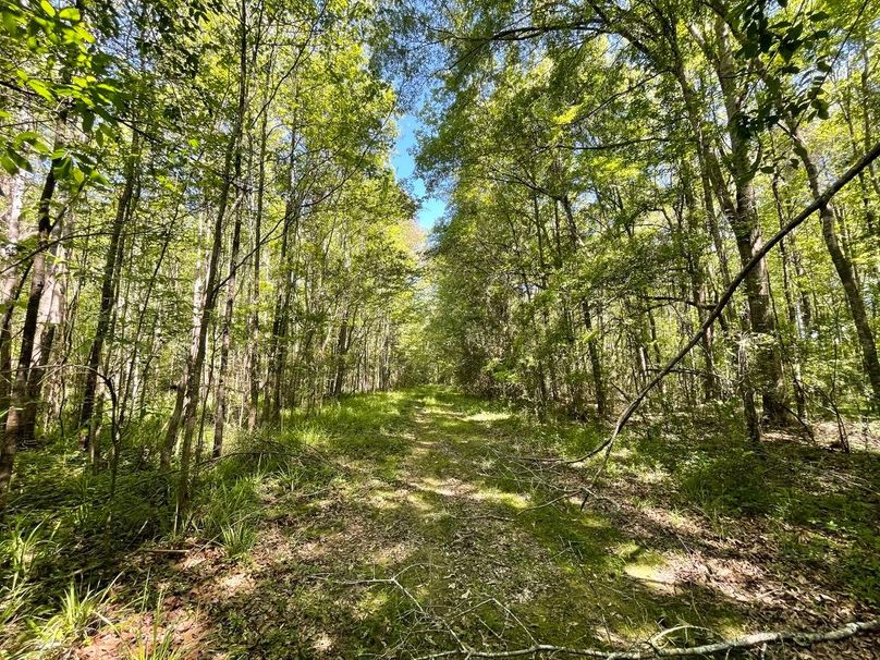 B27458D7-3D0F-419B-A3F1-EE288F6AFB0E_1_105_c