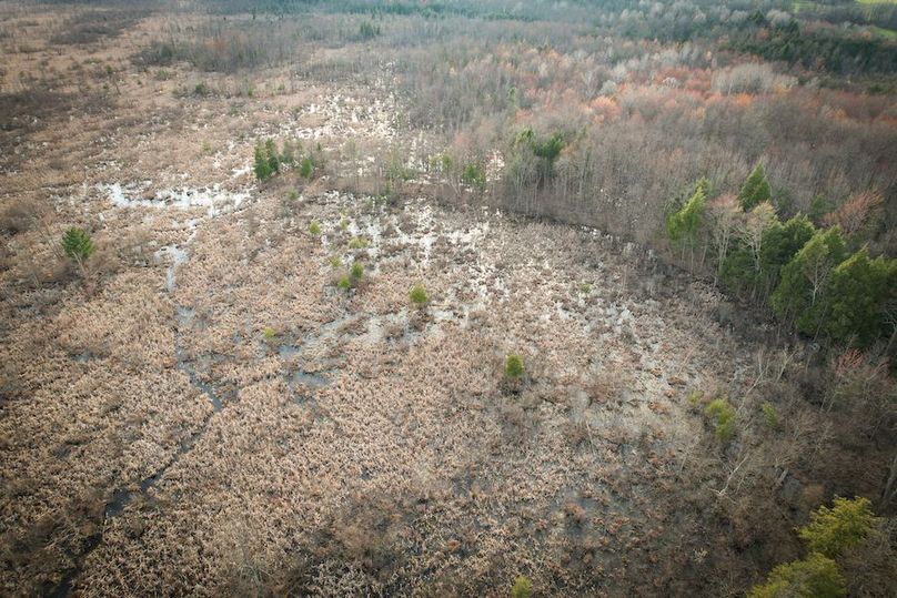 StLawrence_142.7_Bosse_Photos_51