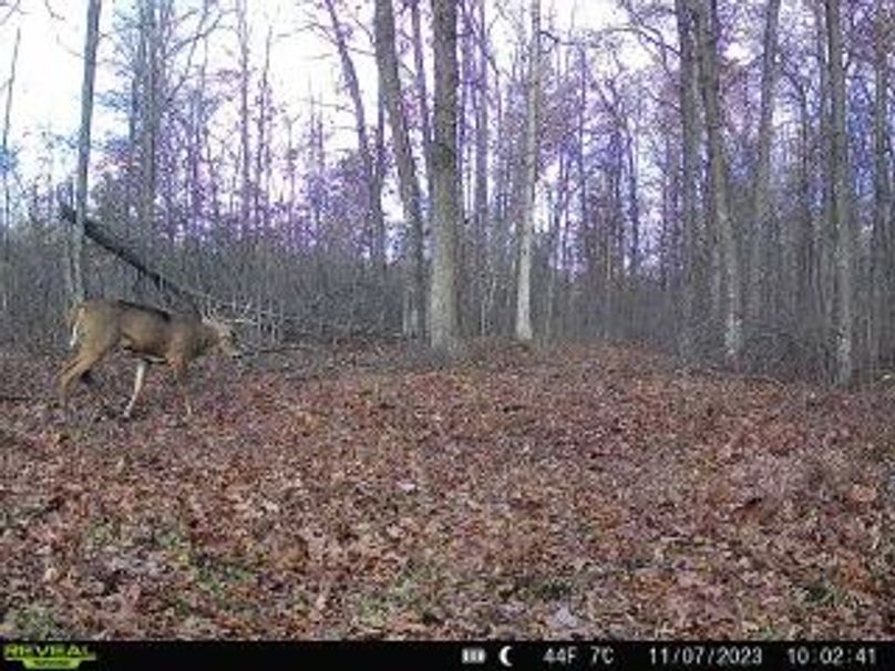 b9800b92-66e1-46f2-9392-237c62b9bd8b