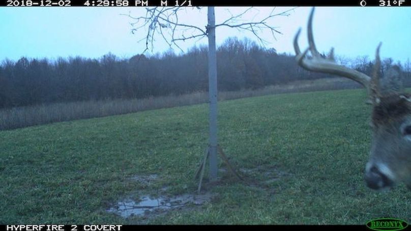 2018-12-02 16-29-58 M 1_1