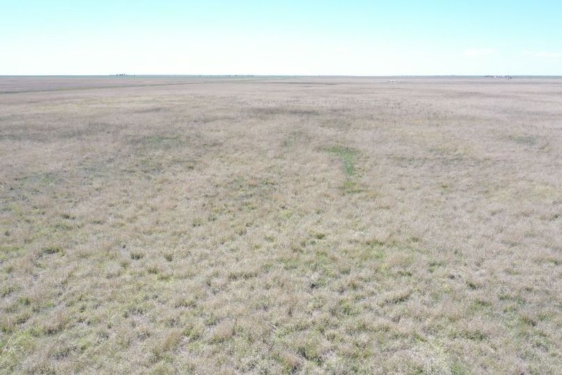 DJI_0657