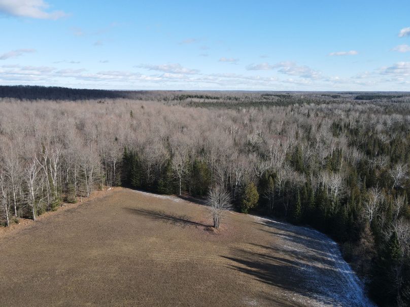 DJI_0858