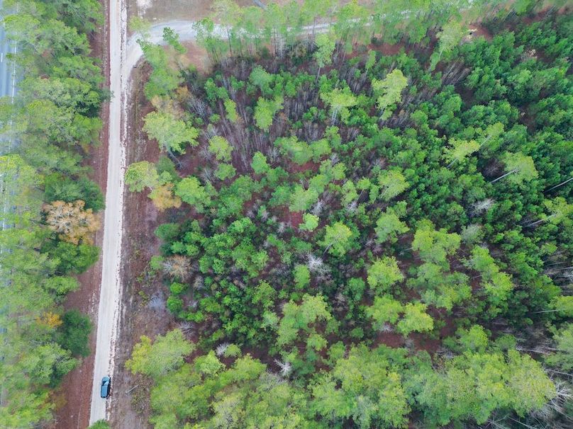 dji_fly_20251204_185508_988_1766581600540_photo