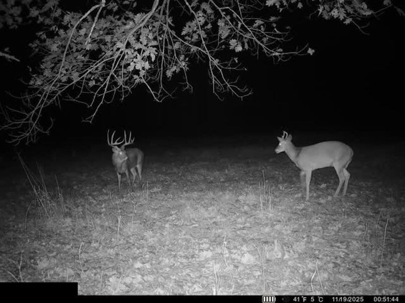 Trail Cam 1