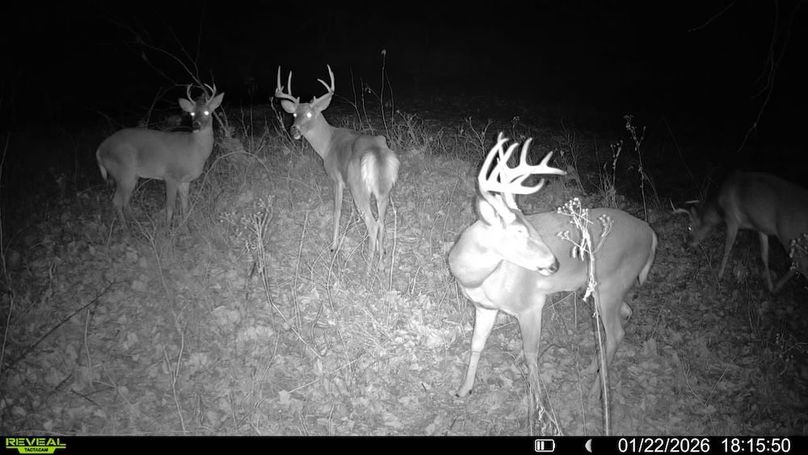 016579007563369-40-2-01222026181550-V-SYFW05657