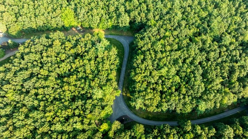 Franklin 59.85_037-2