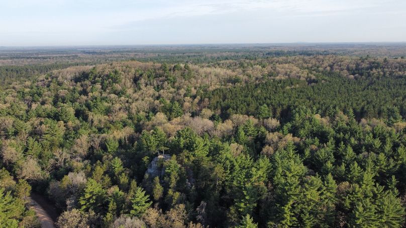 dji_fly_20230511_073146_424_1683809074911_photo_optimized