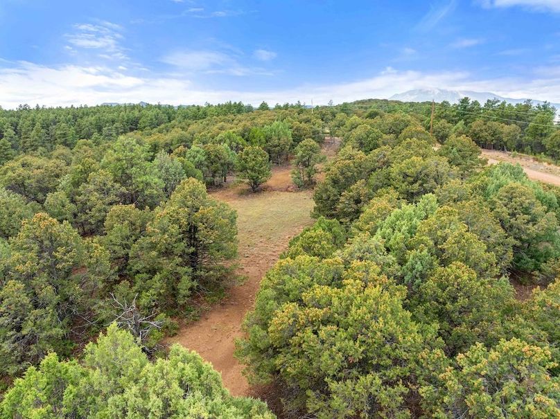 DJI_20250924110210_0119_D