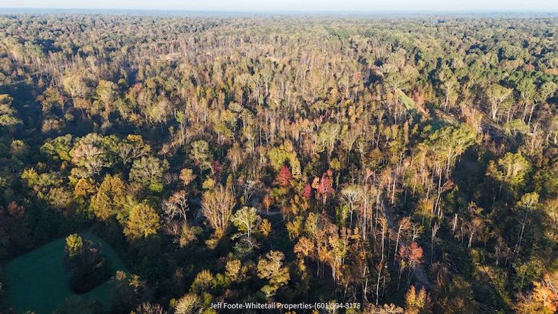 Claiborne Co-151-Geronimo-42