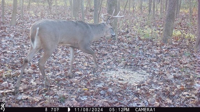 trail cam20