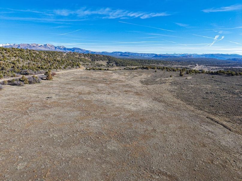 DJI_20260312092028_0146_D