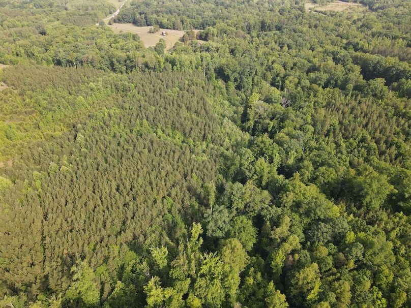 DJI_0839