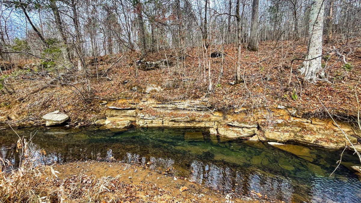 Excellent Hunting Tract With Year Round Creek, Homesite Potential