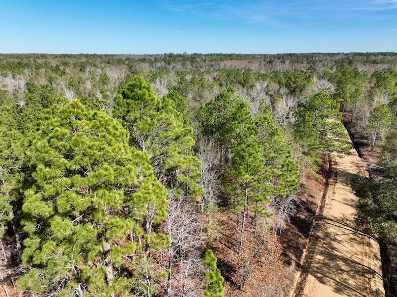 dji_fly_20251128_132700_12_1764354903020_photo