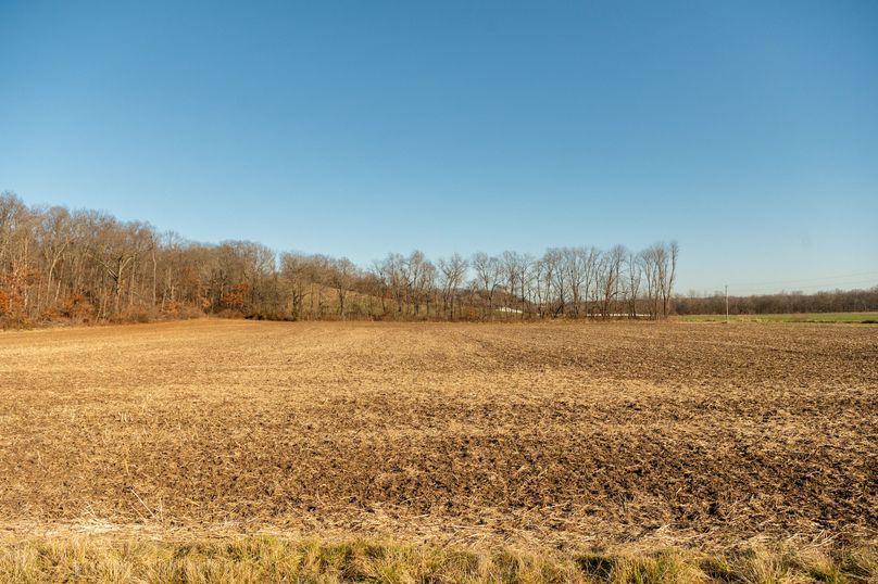 vandalia 450 (2)-702