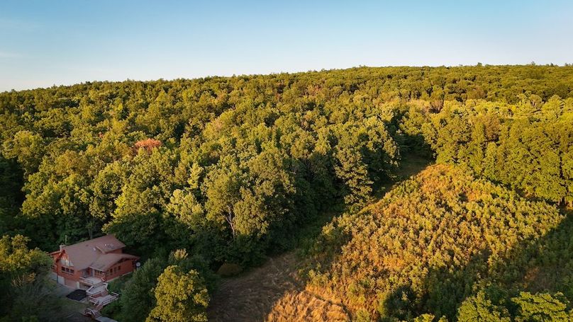 Ontario_33.3_Proseus Photo 45