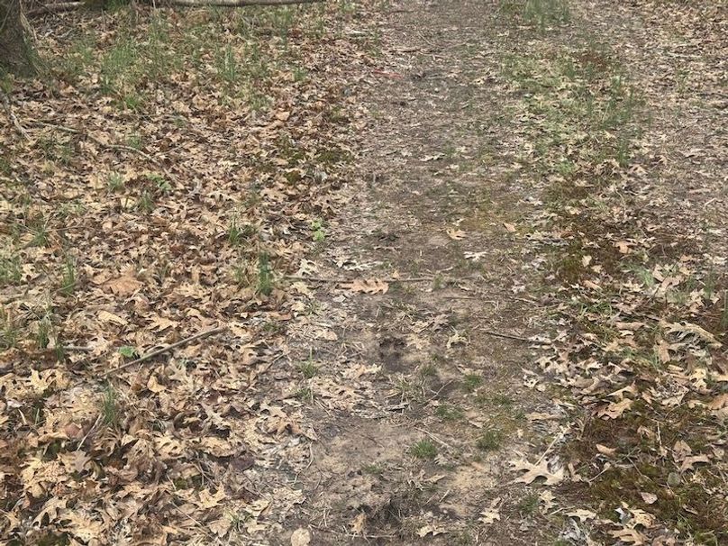 311 new20260217_0470