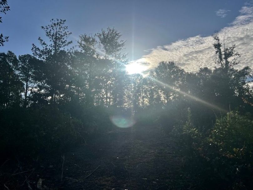 E146844D-3E57-4DCE-B781-76A605BCBB59_1_105_c