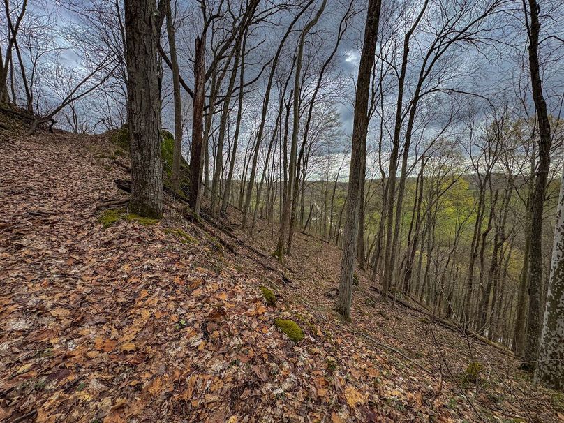 Wirt, WV 39.564 AC Full-14