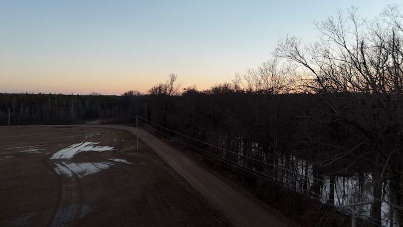 311 new20260217_0468