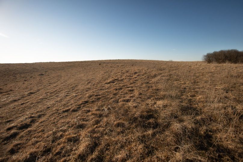 WORTH CO MO 537.44_62