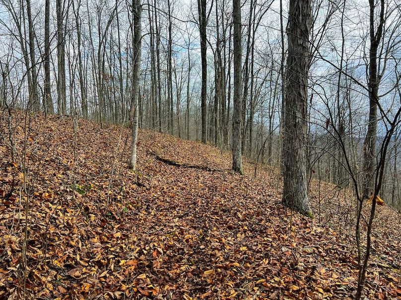 Calhoun, WV 225.69 AC Duffield-61