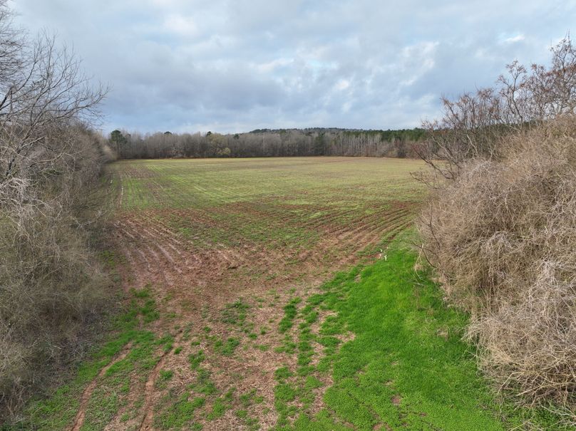 DJI_0970