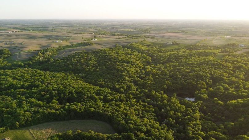 PAGE CO IA 130+_-_68