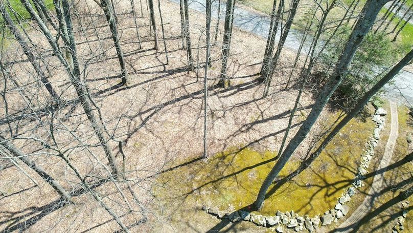 Treasure Lake Edited-073