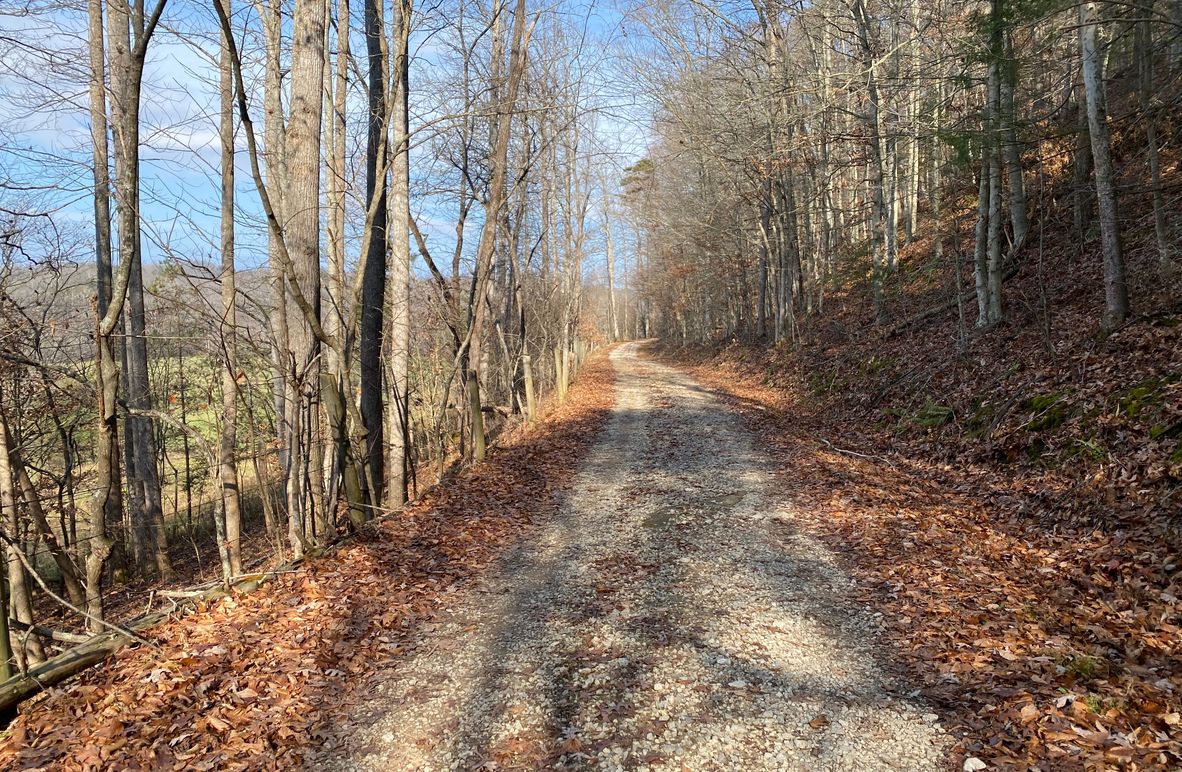 006 the road leading around from the east section of the property through the woods to the west section copy