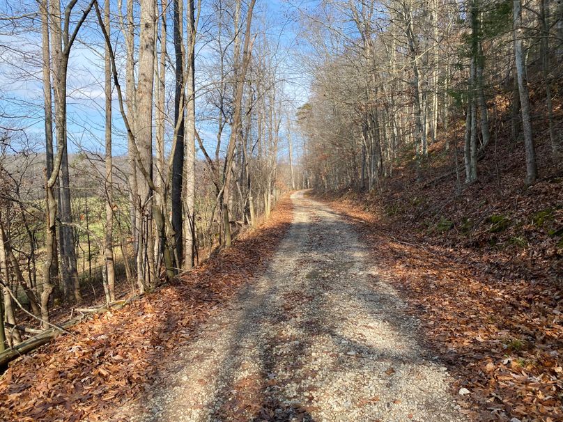 006 the road leading around from the east section of the property through the woods to the west section copy