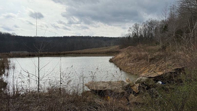 IMG_1417