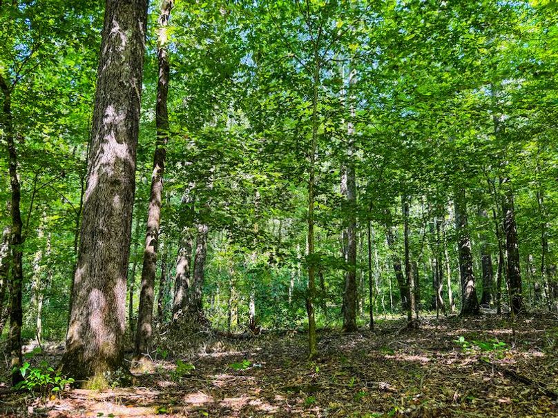 Itawamba 400 Moore-20