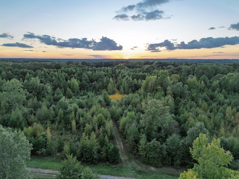 34 Edited Harison co. 206 - Ed Robb-051