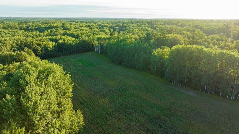 Cass MN 1095 Featured ProPhoto-80