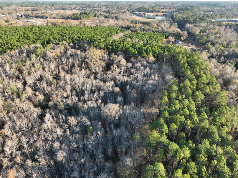 dji_fly_20231229_082802_986_1703856675175_photo