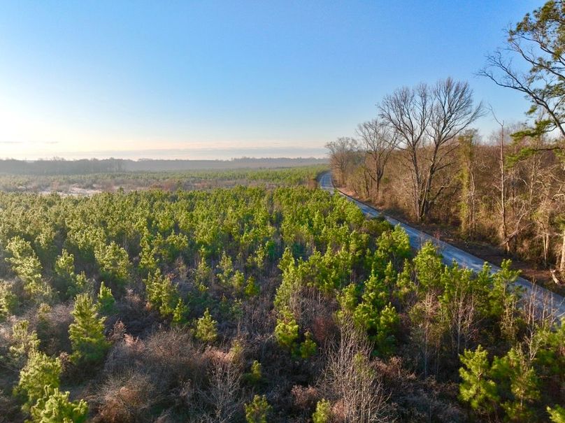dji_fly_20250222_074332_441_1740228275820_photo