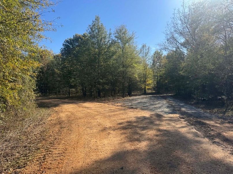 1a1 jeff 8320251111_0255