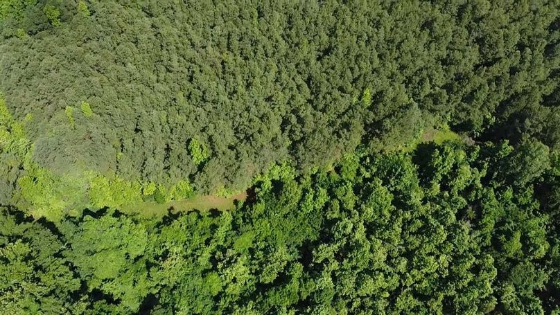 2024-06-01-10-34-08-196