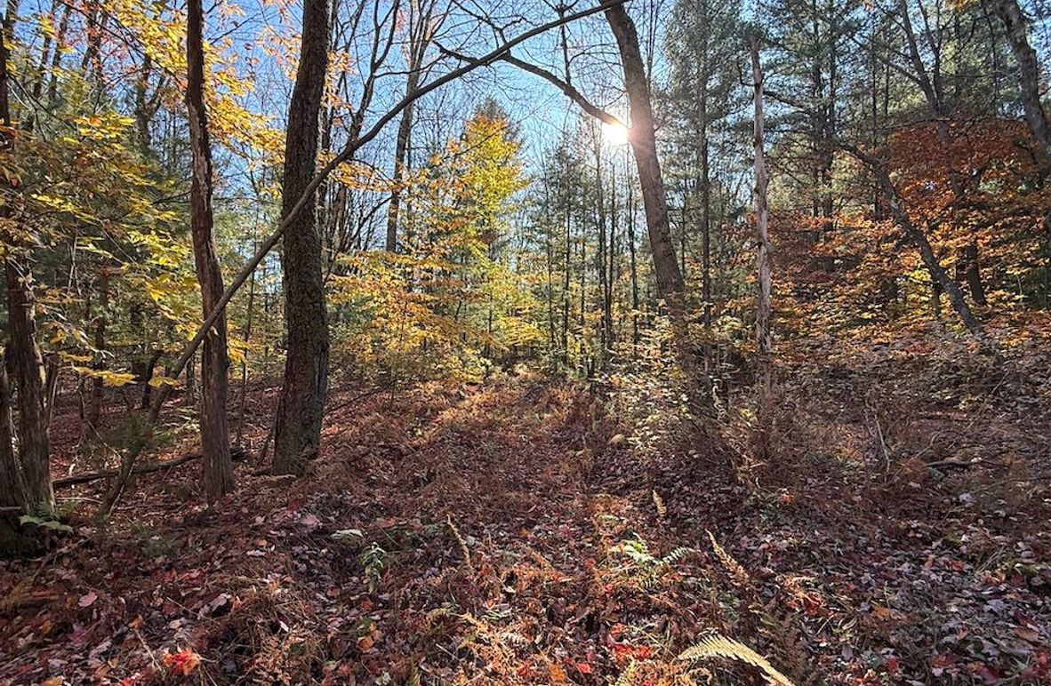 Oswego_26.28_Koehler Photo 2