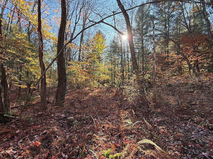 Oswego_26.28_Koehler Photo 2