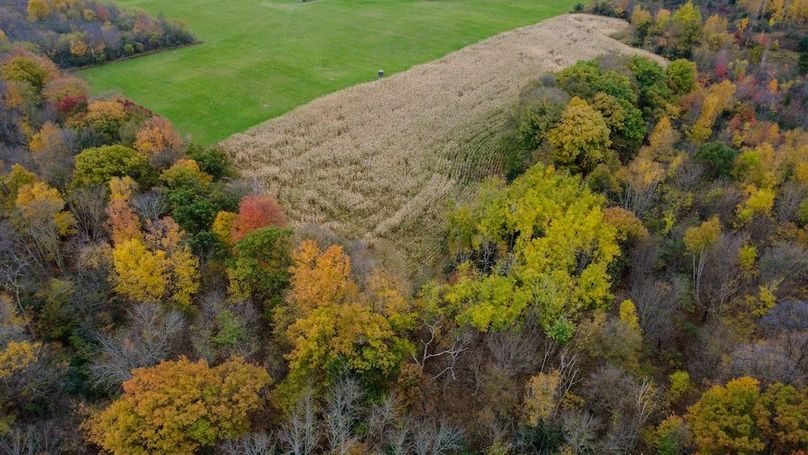 Hauger 15 Still Shots-08