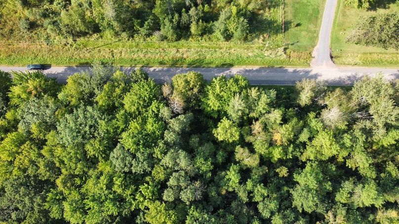 dji_fly_20240826_164414_384_1724708983541_photo_optimized