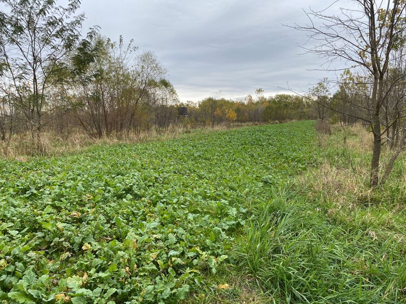 pics from late 2021 and early 2022. New plots being planted in Aug 2023 for new pics (14)