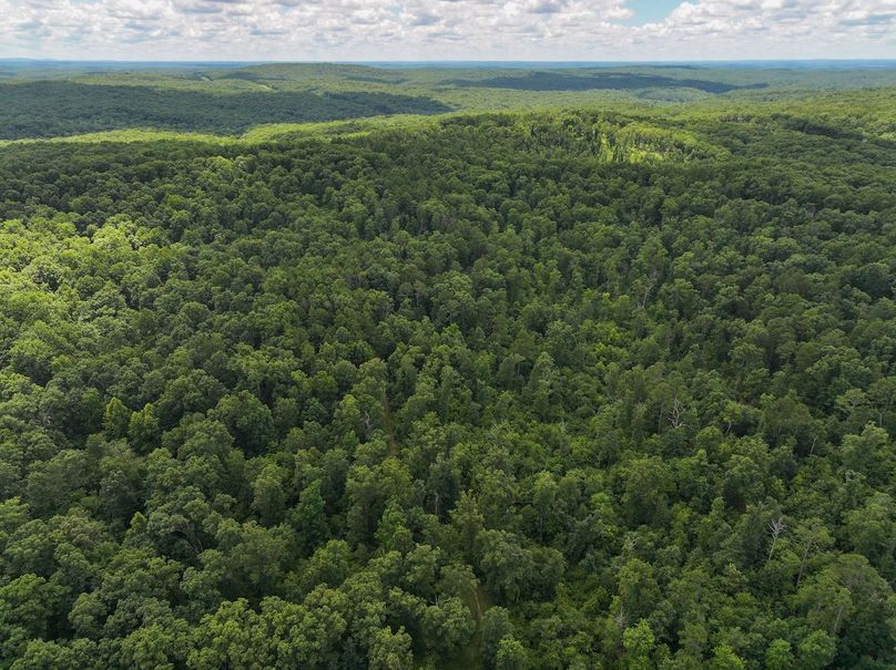 DJI_20250709130003_0422_D