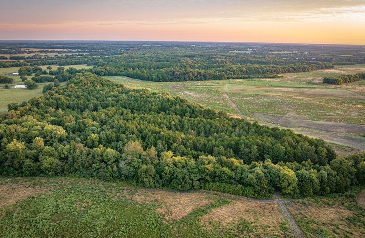 Copy of Clay 374.13-03