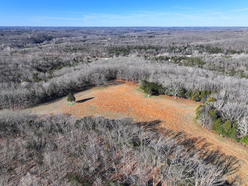 DJI_20260317092701_0960_D