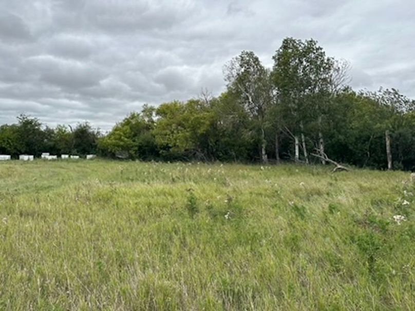 958C7A36-9780-406A-A555-D651D2C8947A_4_5005_c