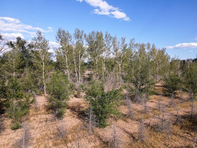 DJI_0681